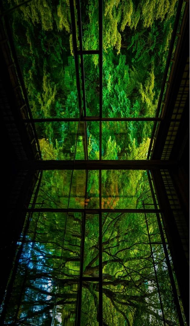 ソニー eマウントSIGMA 20mm F1.4 DG HSM Art