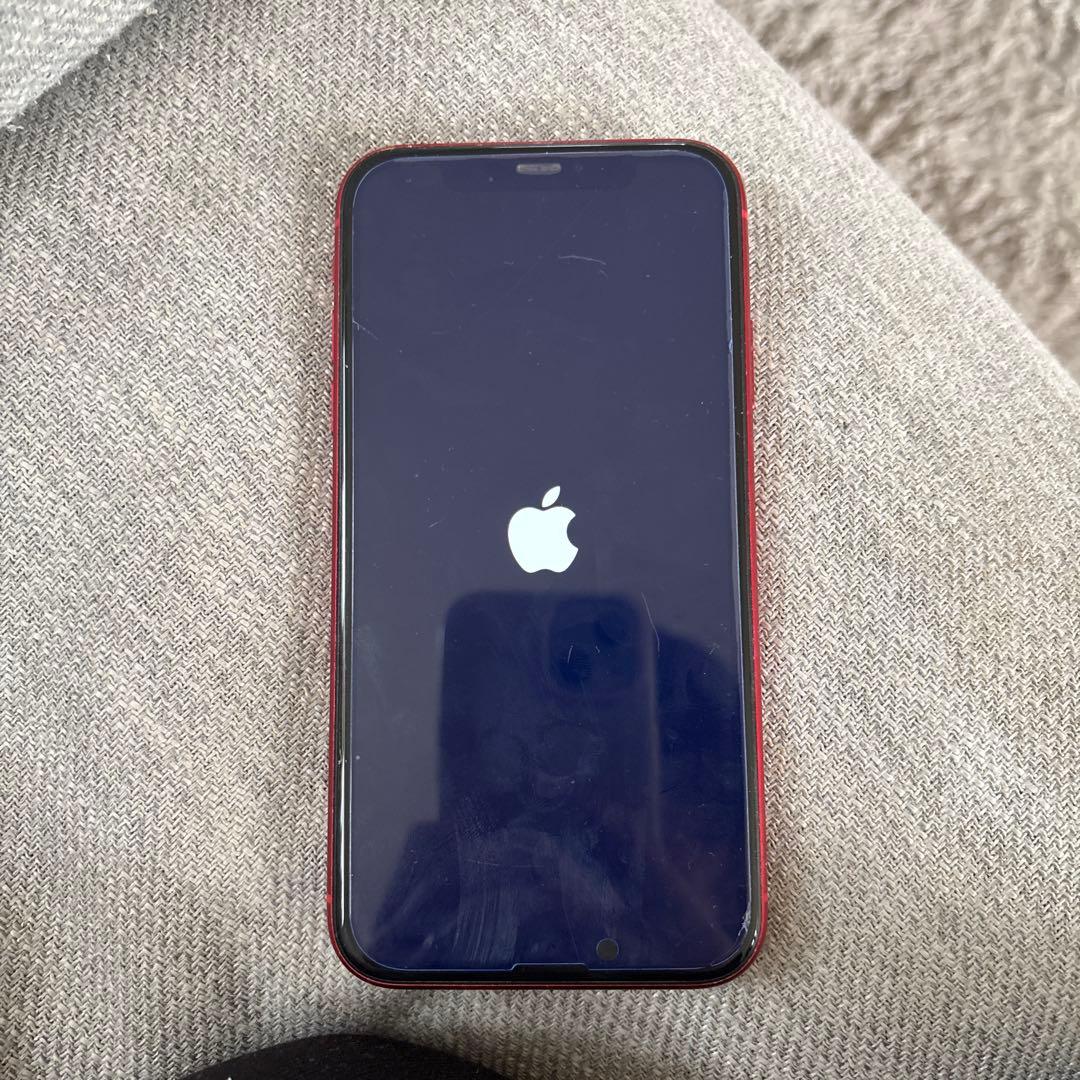 Apple iPhone 11 (Product Red) 本体