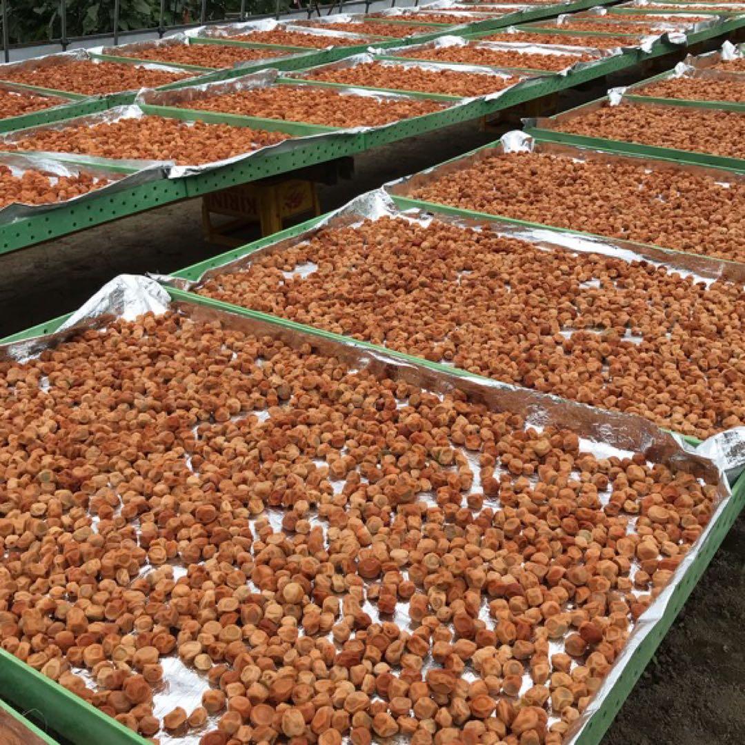 ちぃちゃんママ　6kg