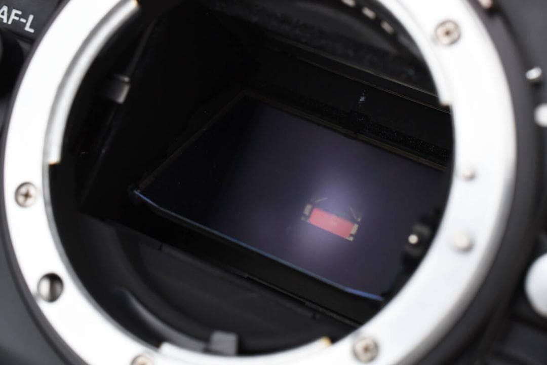 ★極上美品★ニコン NIKON F4s ボディ #1162