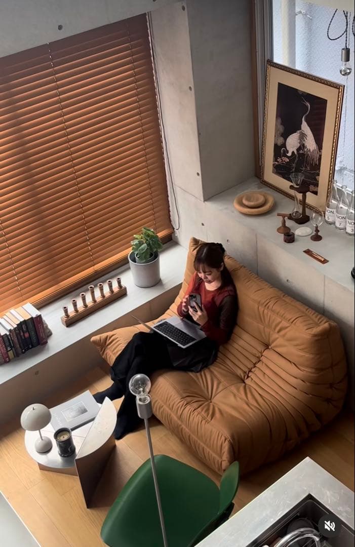 リーンロゼ　ligne roset トーゴ2p ブラウン【廃盤カラー】