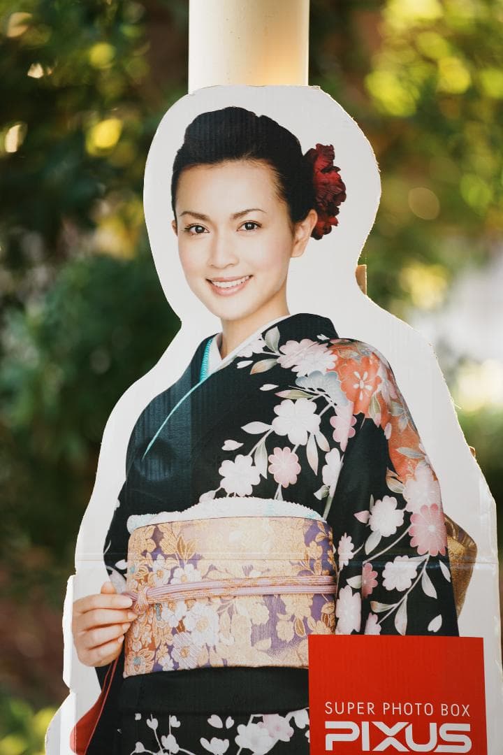 極美品 SONY SEL70200GM F2.8通し 大三元 プロ実写検証済