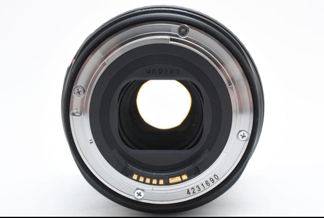 キャノン EF24-105mm F4L IS USM