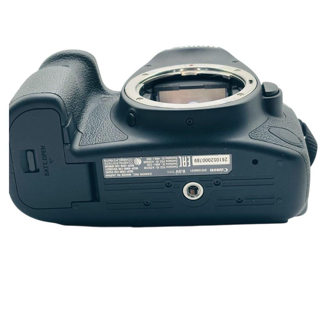 Canon EOS 6D Mark II レンズ2本セット