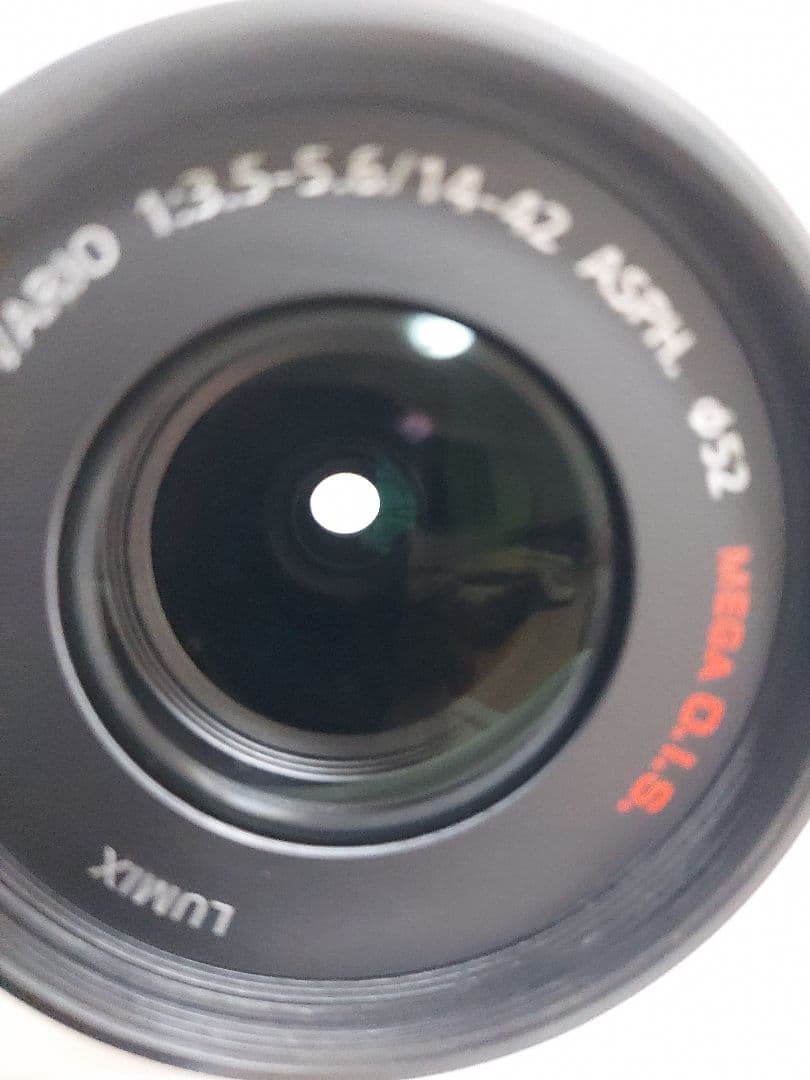 極美品　Panasonic LUMIX DMC-GH1 動作確認済み