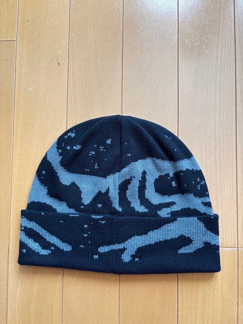 は*す様 【新品未使用品】ARC'TERYX ニット帽