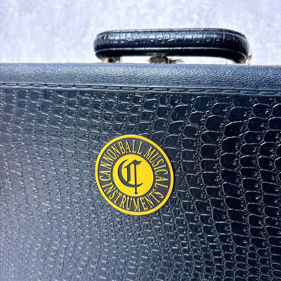 【送料込み】Cannonboll キャノンボール テナーサックス ハードケース