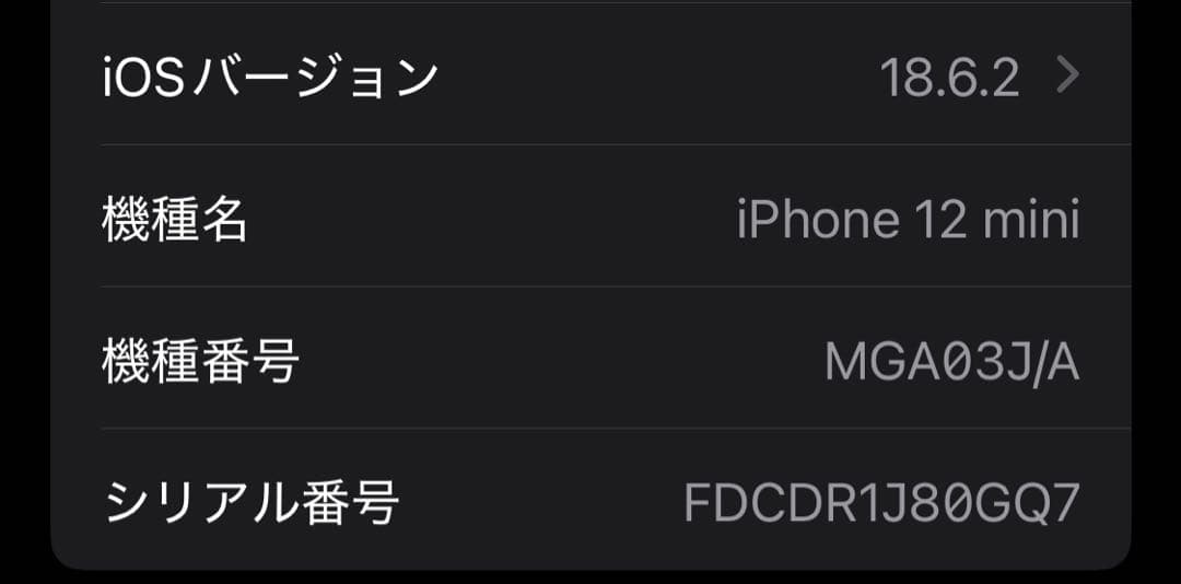 iPhone12 mini +ケース
