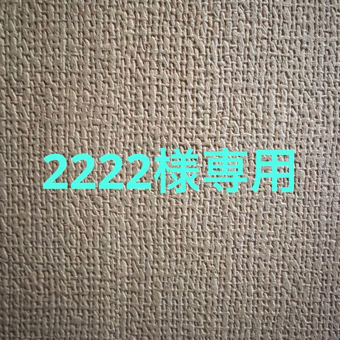 2222　リクエスト　B5サイズ