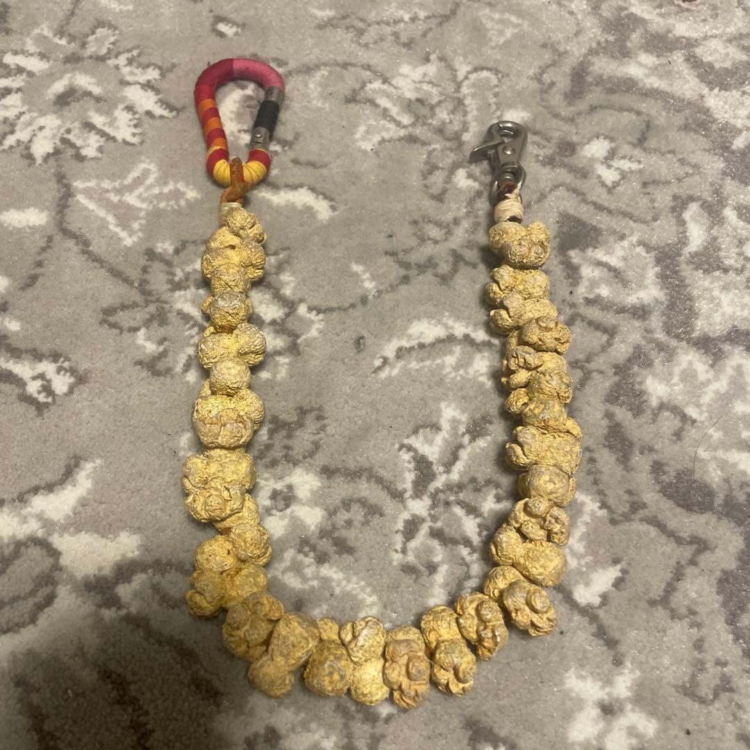 rebirth ポップチェーン 堀木 NADA whiz