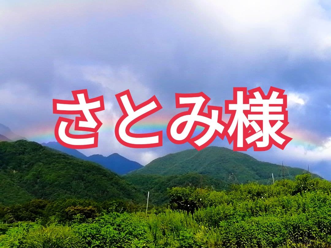 さとみ様　山梨県産　雪中リンゴ　葉とらずサンふじ　20kg