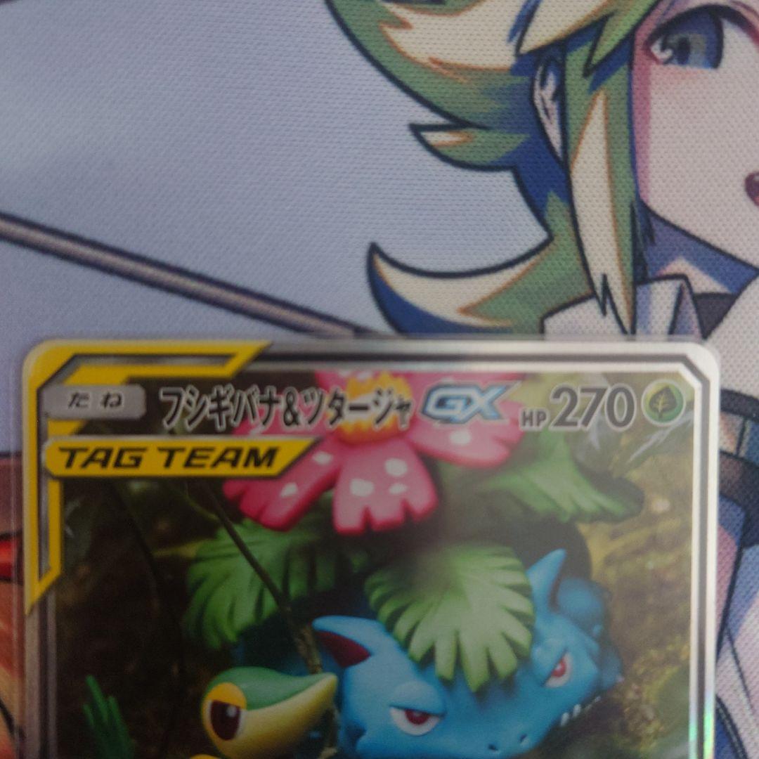フシギバナ&ツタージャGX タッグチームカード