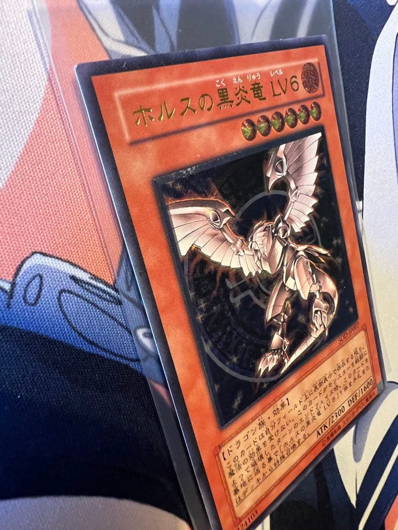 遊戯王　ホルスの黒炎竜レリーフ他12枚セット