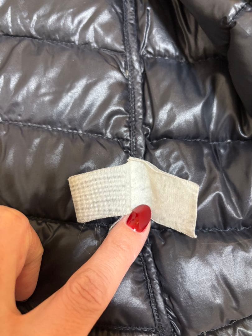 THE NORTH FACE Summit Series 700 ダウンベスト