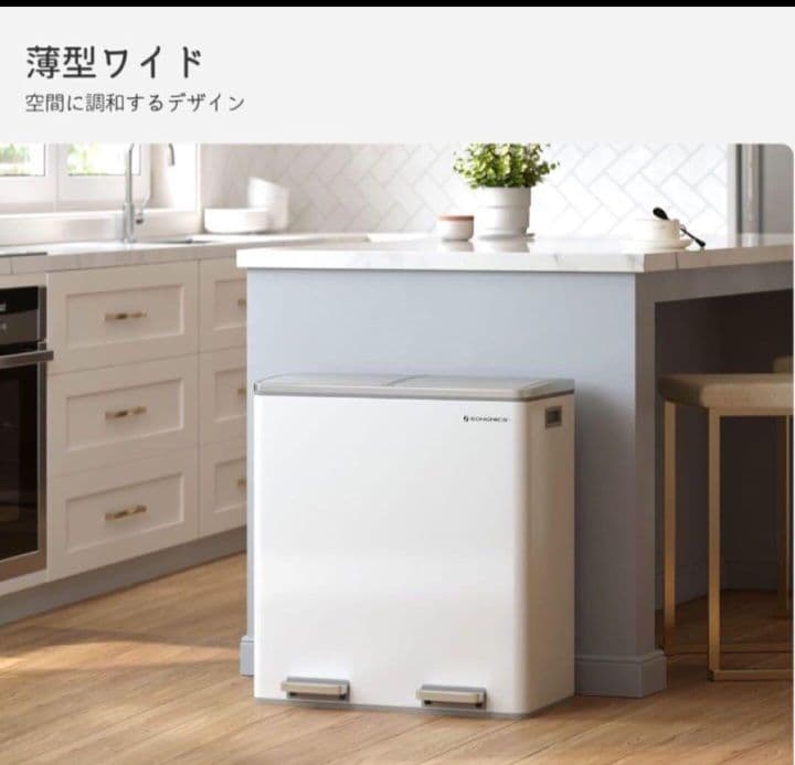 #新品　ゴミ箱 ダストボックス 2分別ペダル式 2x30L ステンレス