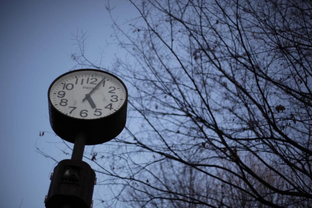 レンズ(単焦点) Carl Zeiss Planar T* 50mm F1.4 ZE