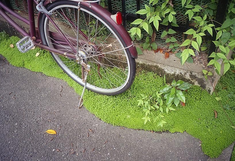 Canon Autoboy S II フィルムカメラ　Q765