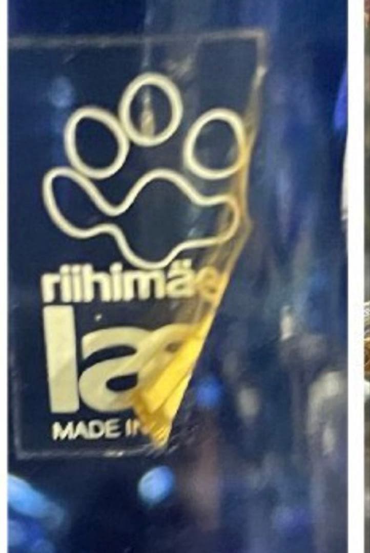 リーヒマエンラシ　タマラ　フィンランド　アラジン　ディン　フラワーベース　セット