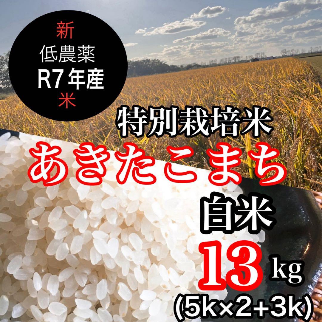 R7年産◎低農薬 【特別栽培米】あきたこまち 白米13kg(5kg×2+3kg)