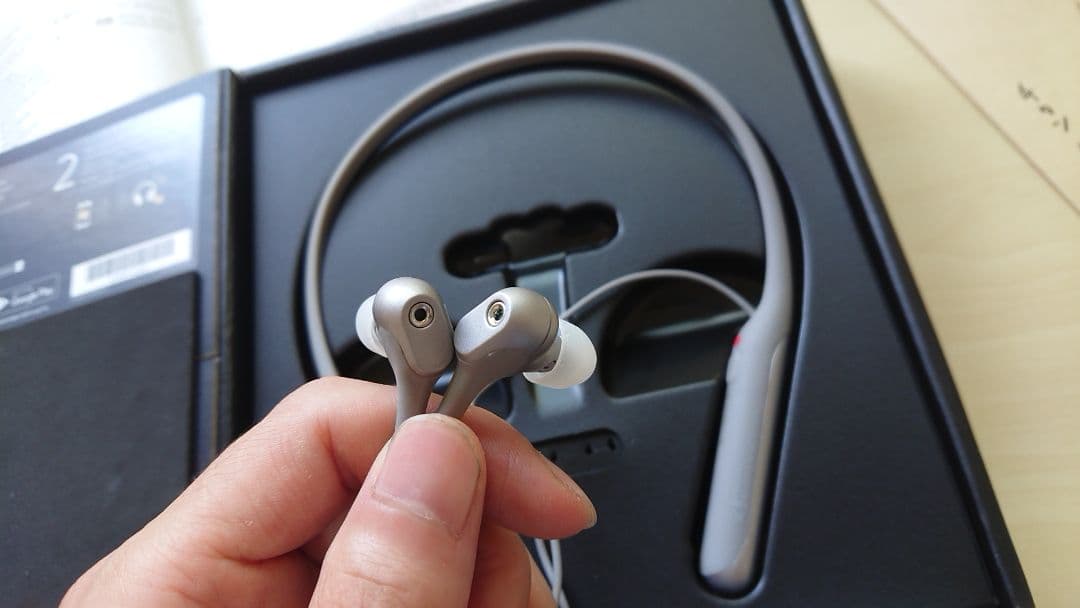 イヤホン Sony Wi-C600N