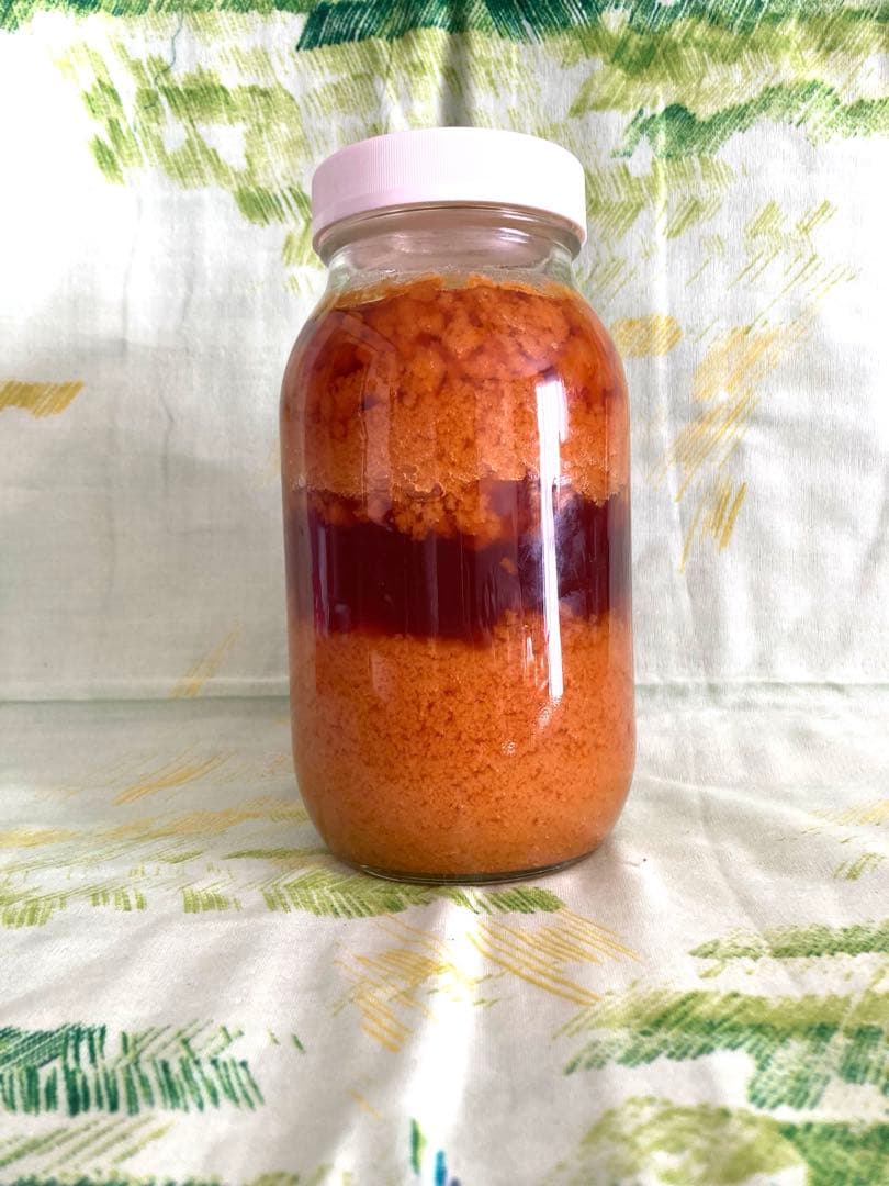 ニホンミツバチ　日本蜜蜂　夏蜜　1120g