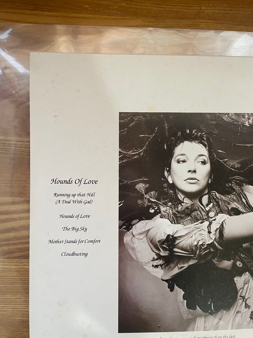 試聴済★ レコード　ケイトブッシュ愛のかたち