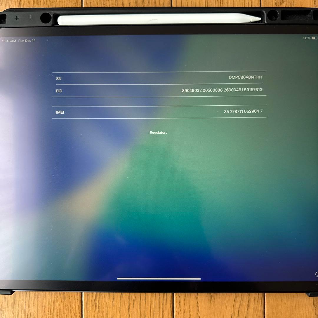 【美品】iPad Pro 12.9 Wi-Fi+Cellular 1T