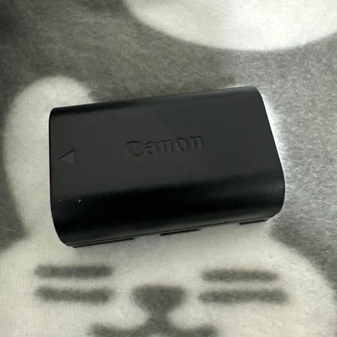 Wi-Fi/動画/canon EOS 5D Mark IVボディ、レンズセット