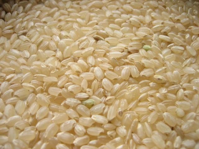 関東　一都六県　送料無料　令和６年　新米　玄米　つきあかり　20kg　/　訳あり