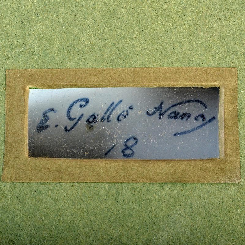 仏蘭西十九世紀　エミール・ガレ作　花文　飾絵皿　サイン入　額装　K　R5293B