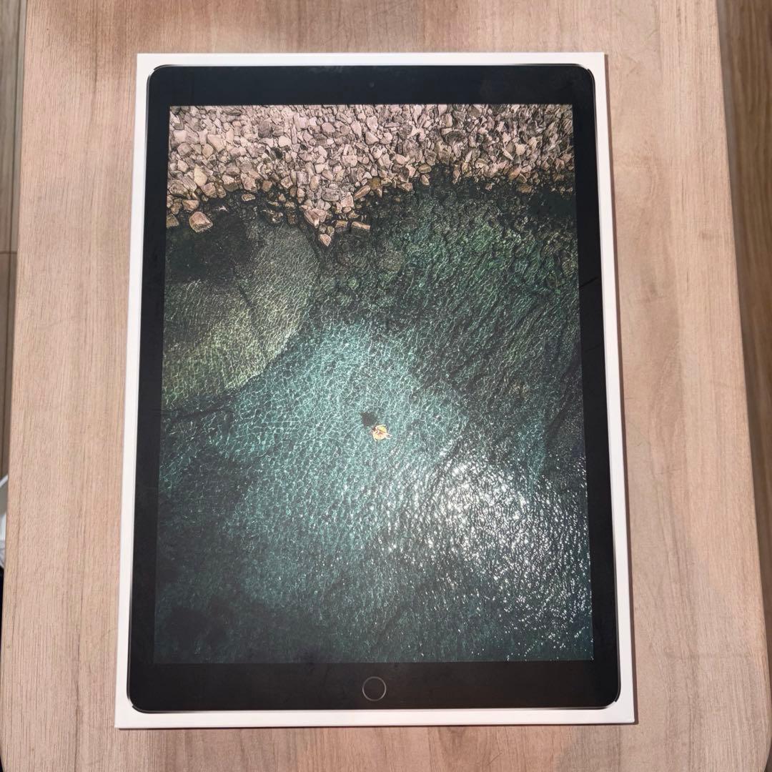 iPad Pro (12.9インチ) 第2世代 256GB セルラー