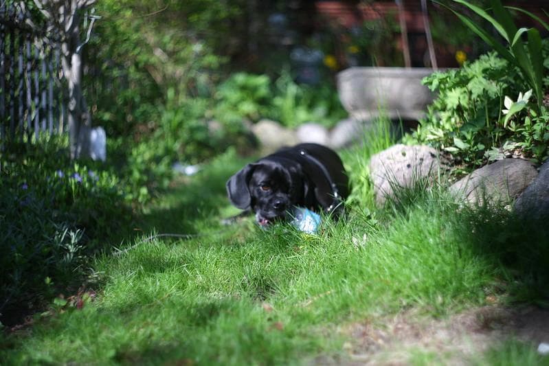 58　分解洗浄済 未使用　ぐるぐるボケレンズ　ヘリオス　44-2　M42