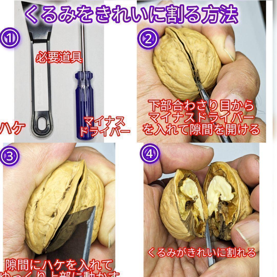 【かおりん商品 】 限定セール 殻付きくるみ 極小〜小サイズ 14kg