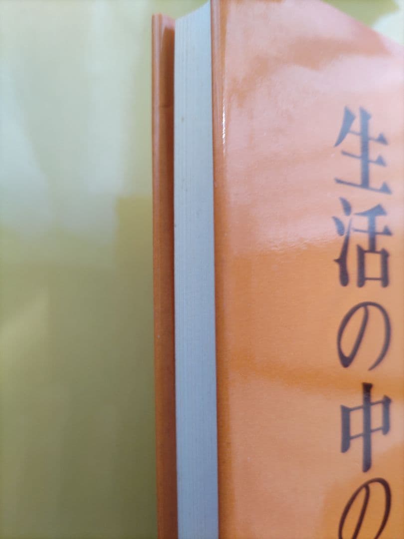 生活の中の気の原理 　藤平光一著