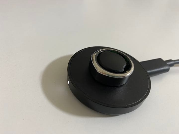 ボディ・フェイスケア Oura Heritage Silver US7