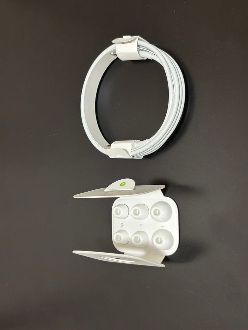 Apple AirPods Pro (第二世代) 本体