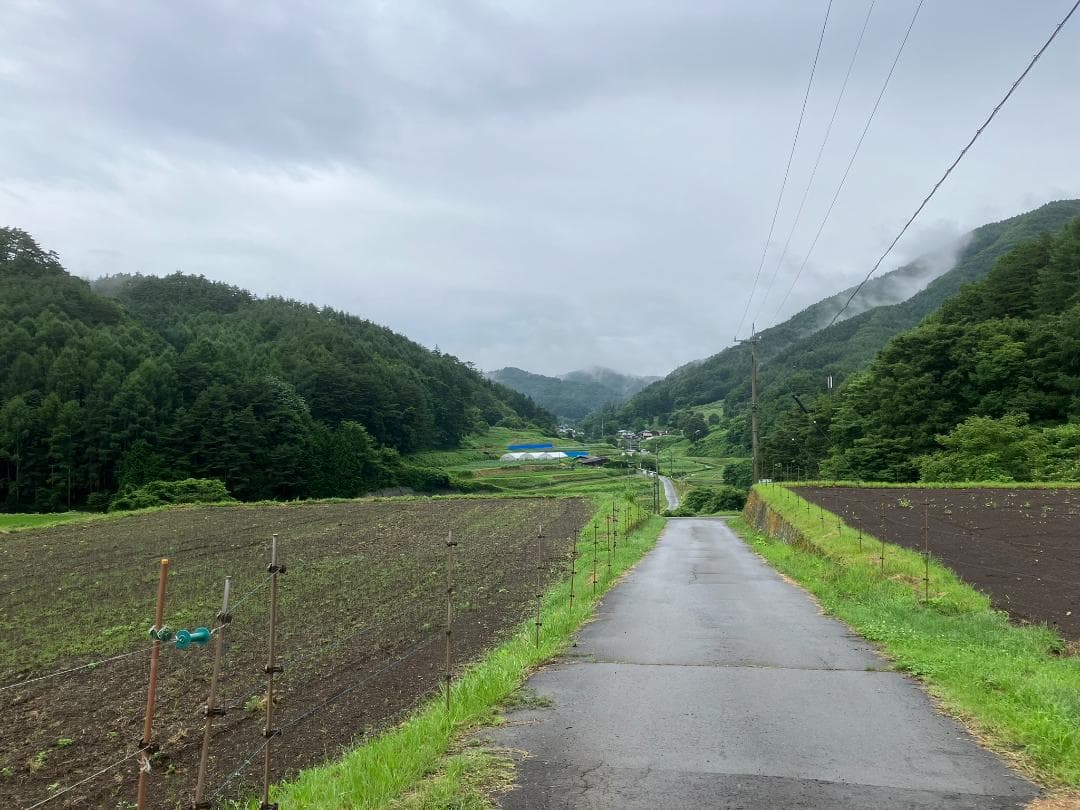 国産蜂蜜 1000g 3本セット 信州産 アカシア 百花 栗 セイヨウミツバチ