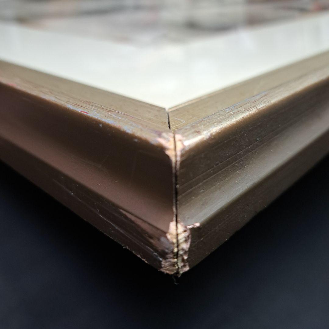 サルバドール ダリ リトグラフ 冬のセントラルパーク