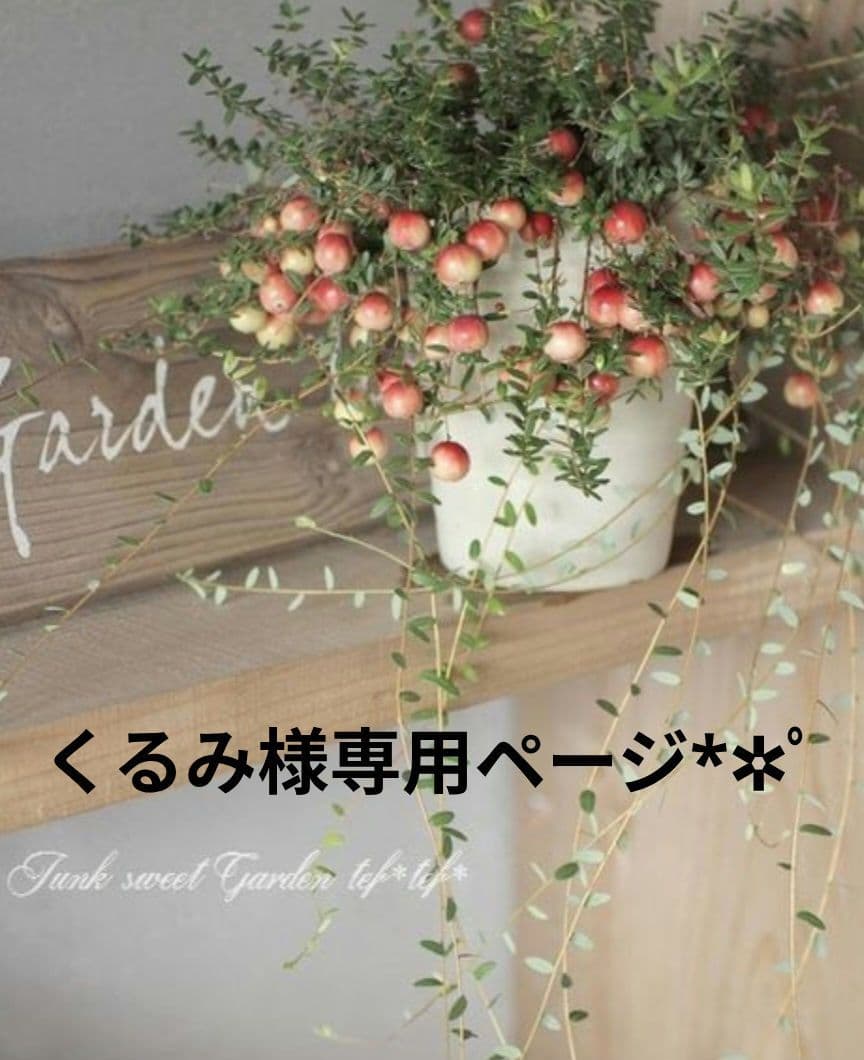 くるみページです•*¨*•.¸♬︎