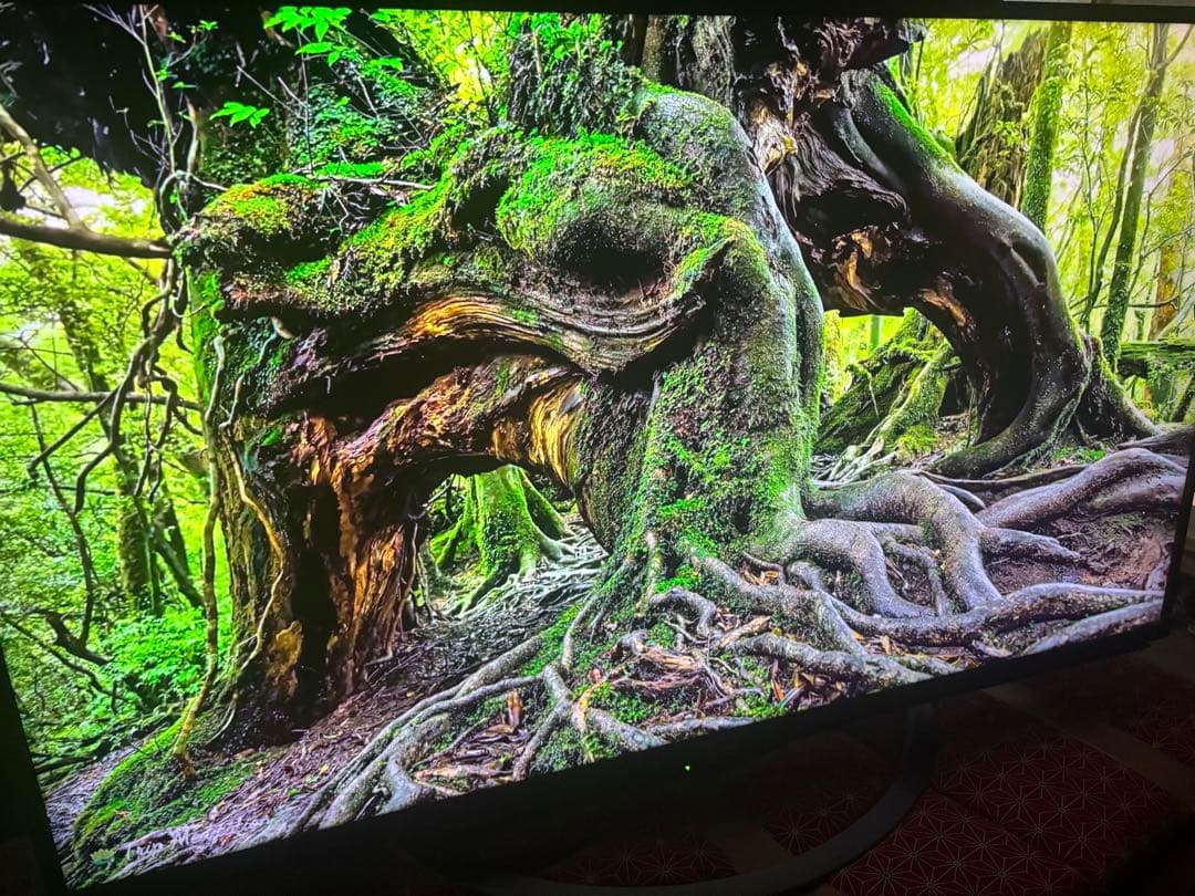 AQUOS 50インチ液晶テレビ　4T-C50AJ1美品