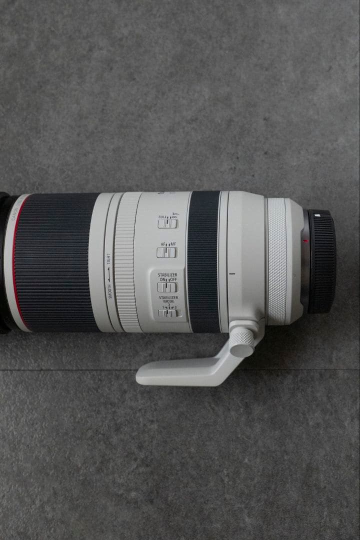 C プロフ必読さま専用　Canon RF 100-500mm F4.5-7.1