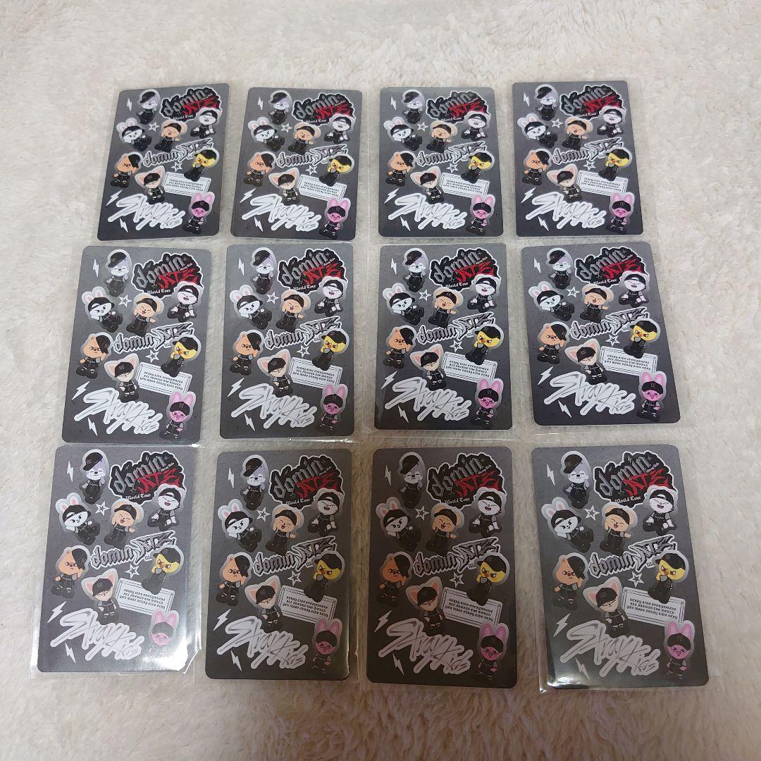 Stray Kids POPUP スキズ エコパ 購入特典 12種 コンプ