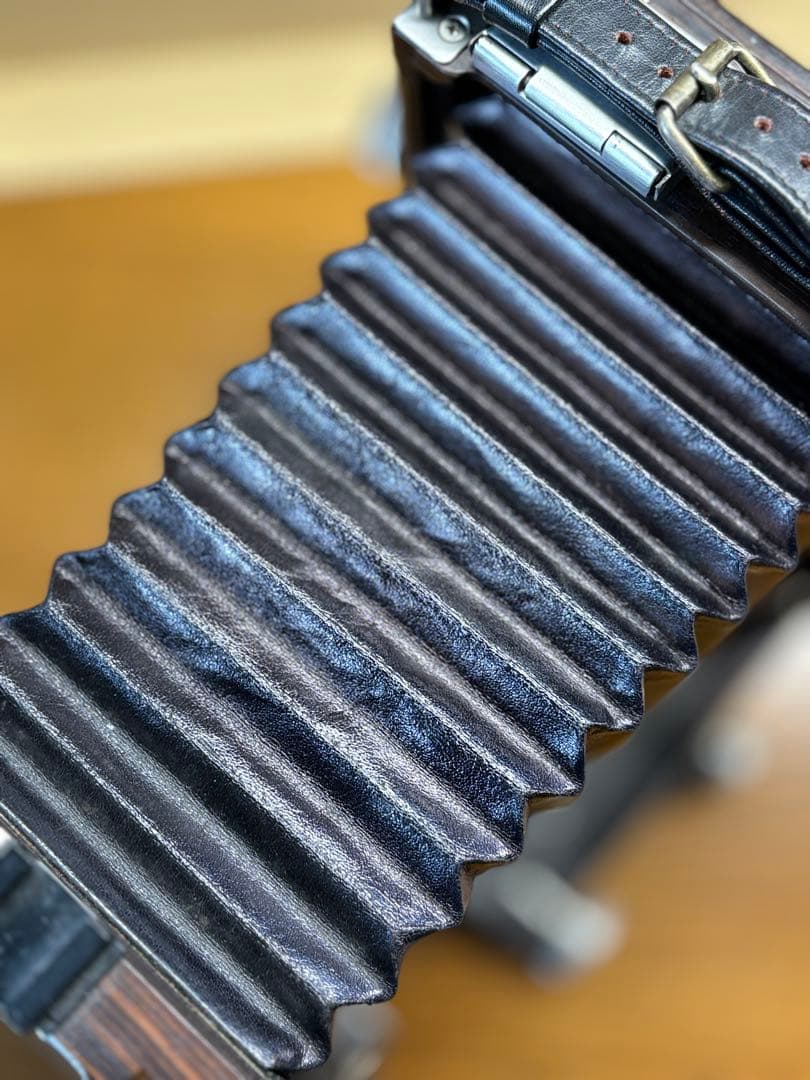 EBONY S23Ti 120ロールフィルム使用