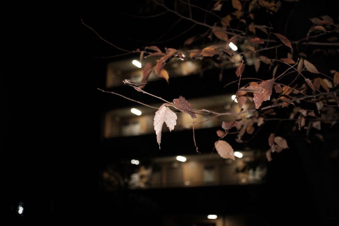 MINOLTA M-Rokkor 28mm f/2.8 レンズ【作成例有り】