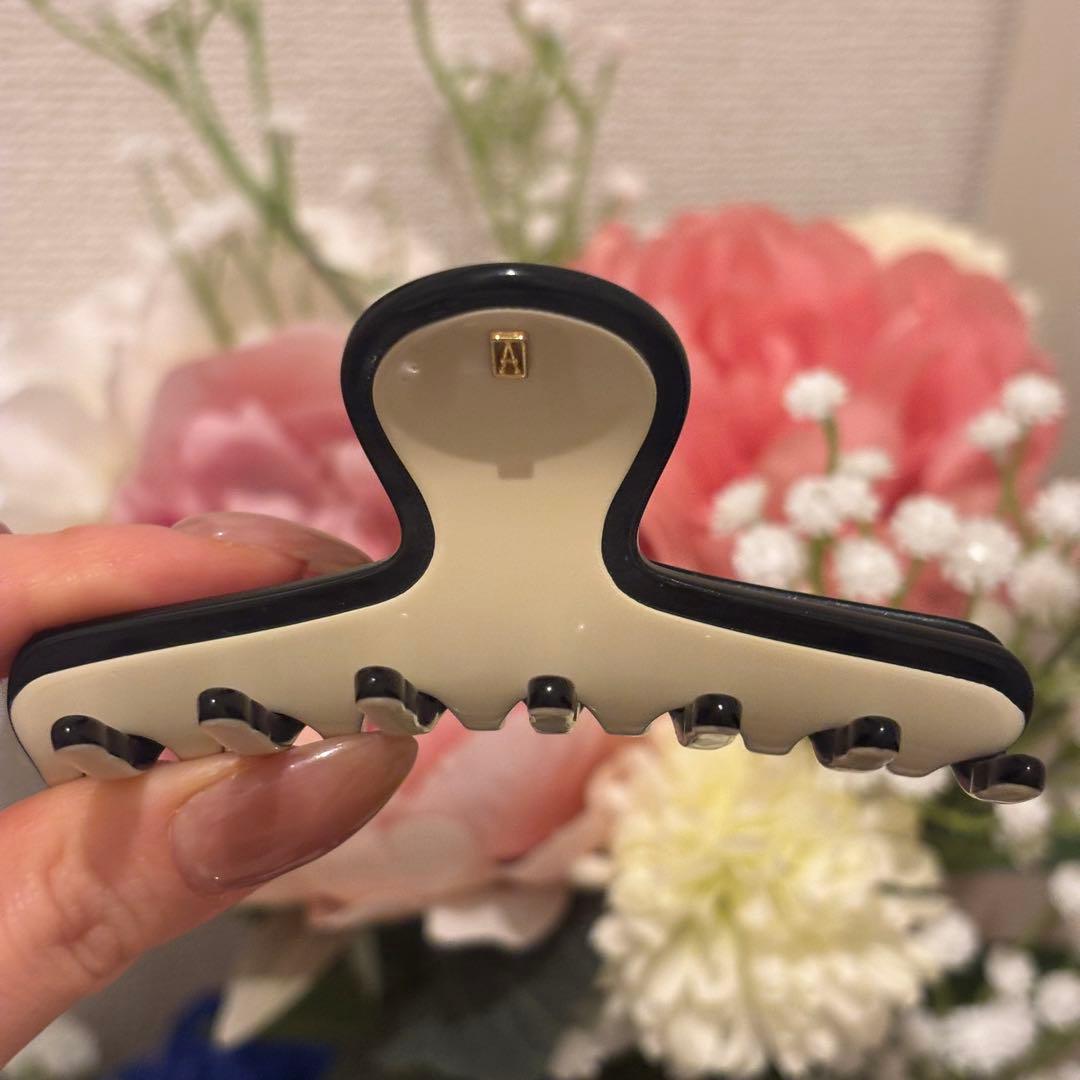 アレクサンドゥルパリ　リズレ　M クリップ