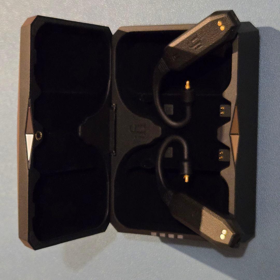 ifi audio GO pod【購入証明有】