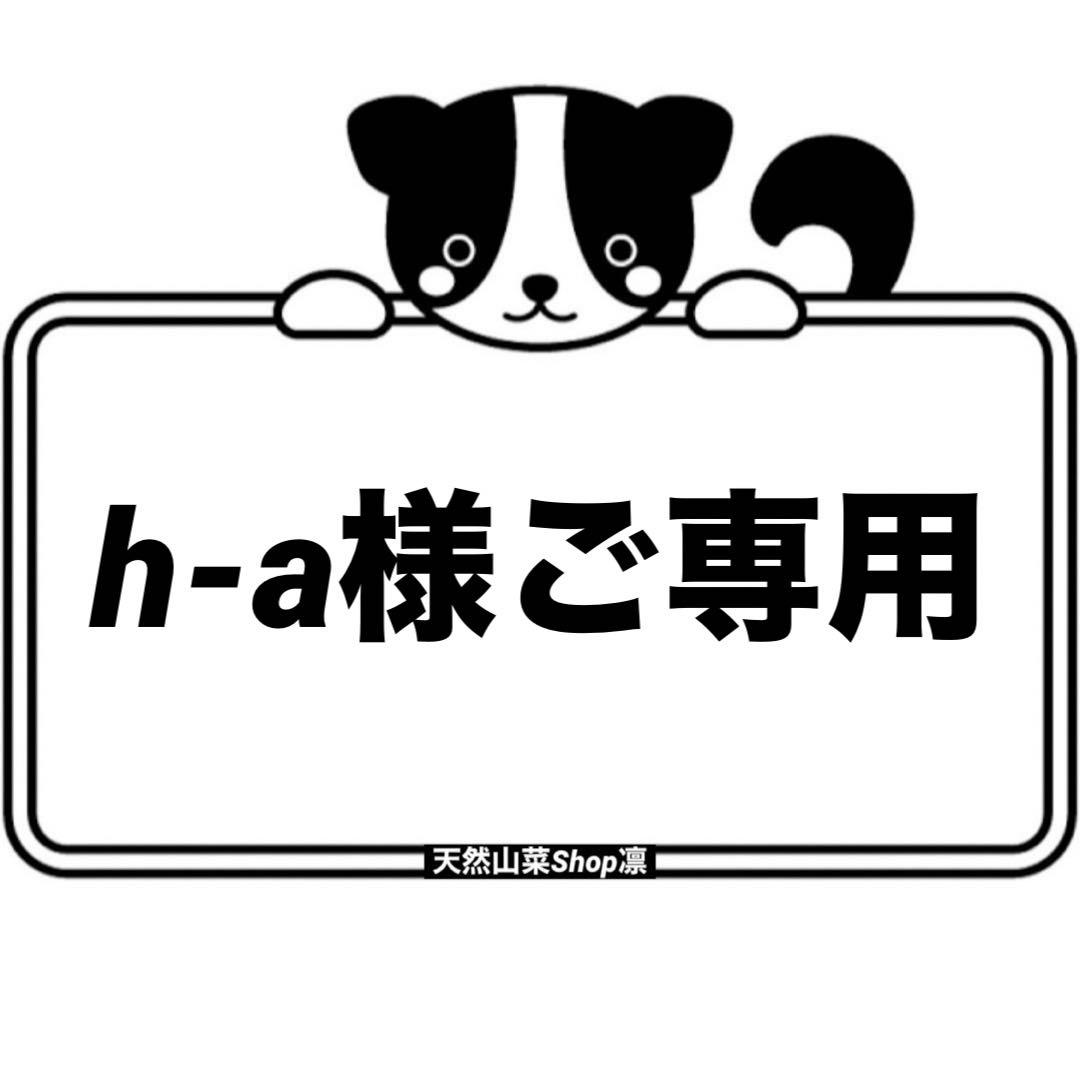 天然きのこ 天然なめこ なめこ ナメコ 山形県産 森の凛さん採取 その81
