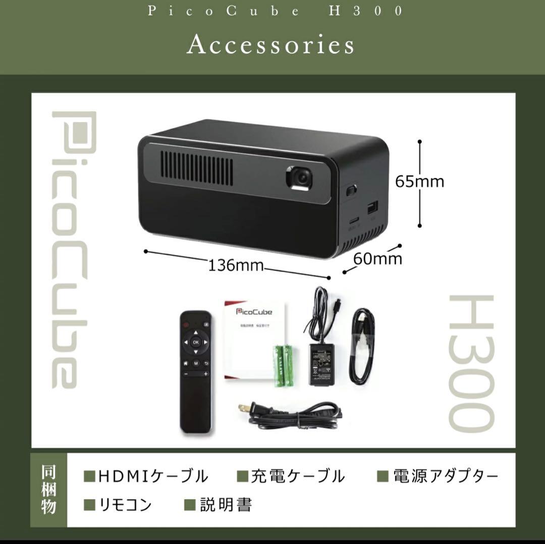 K フェリクロス 超小型プロジェクター PicoCube H300
