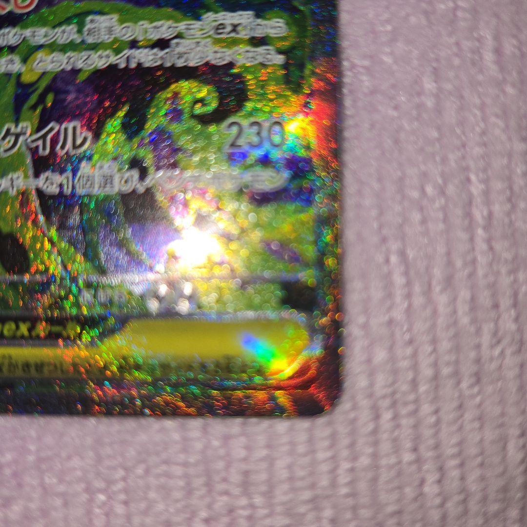 ル*ル様 メガドリーム　メガゲンガーex SAR 240/193 自引き品