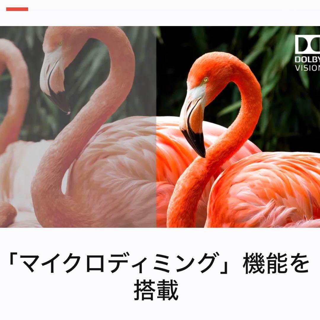 【美品】TCL 4K 55インチ チューナー搭載 Androidスマートテレビ